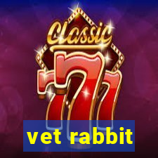 vet rabbit